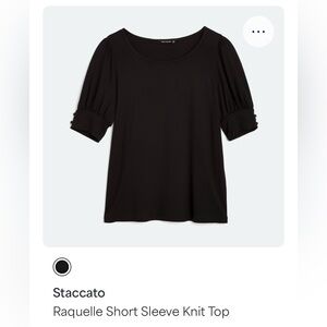 Stitch Fix Staccato Raquelle Black Short Sleeve Knit Top